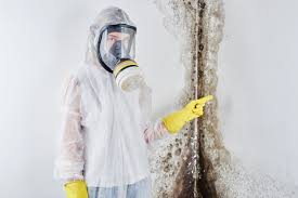 Environmental Consulting for Mold Prevention in Grand Rapids, MN